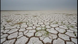 Salty Farmland Has Entered The Agriculture Feed