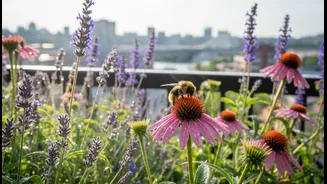 City Gardening Needs A Pollinator-Friendly Upgrade
