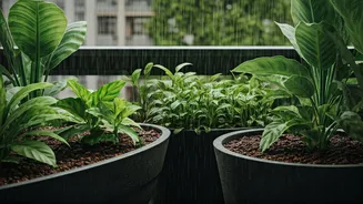 Balcony Gardens Need A Rainy-Season Audit