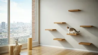 Creative Feline Owners Use Floating Wooden Steps For Home Entertainment