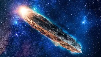 Putting the Boundary with Interstellar Space in Context with NASA's First Public IMAP Science Data