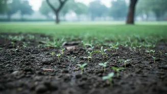 Soil Bacterial Recovery: Environmental Research Offers Blueprint For Flooded Urban Soil Care