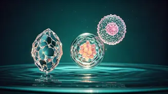 Related Stories banner