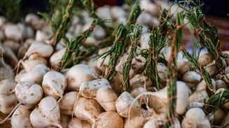 Why yam beans are perfect for plant-based diets