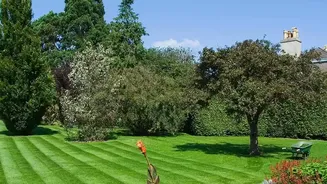 The Latest August Gardening Advice Adds New Weight To Clear Drainage
