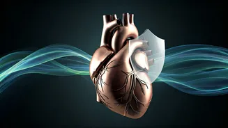 Weight Loss Drugs: A Shield Against Heart Attacks, Strokes, and Early Death