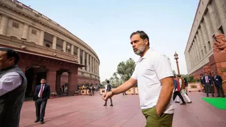 BJP Questions Funding Trail Of Rahul Gandhi's Foreign Travels - '54 Trips In 22 Years, Rs 60 Crore Spent'