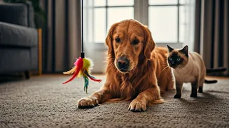 Indoor Games Can Save Pets From Rainy Restlessness