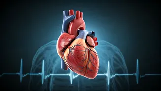 Fight Heart Failure: Understanding the Threat