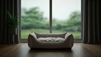 Quiet Luxury Pet Stays: Best For Monsoon Travel