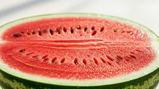 Summer Watermelon Wisdom: Keep Your Melon Fresh, Juicy, and Delicious Longer!