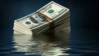 Rupee's Struggle: Decoding its Weakness Against the Dollar