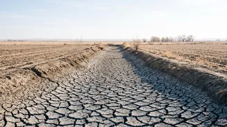 Pakistan's IRSA Projects A 22% Irrigation Water Shortfall This Rabi Season For Winter Crop Planning