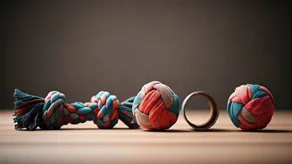 5 Fun & Easy DIY Pet Toys: Spoil Your Furry Friend Creatively!