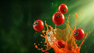 Gurugram's La Tomatina Festival: Fun Dream or Hygiene Nightmare?