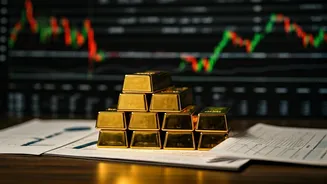 Pro Masters: Decoding Market Insights and Investment Strategies