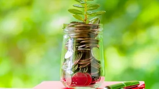 Step Up Investment Strategy Increasing Mutual Fund Contributions Annually For Maximum Wealth Growth