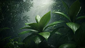 Why Safaris Pause Every Monsoon Season