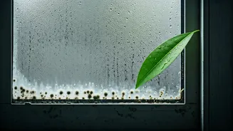 This Everyday Monsoon Mistake Is Easy To Fix