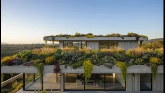 Concrete Homes Feel Better With Rooftop Plants