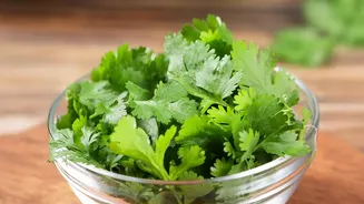 Parsley Recipe Ideas Explained: Adding The Herb To Vegetable Dishes