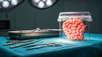 Kerala's Milestone: Organ Transport by Flight