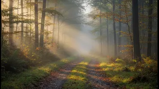 Staying Longer Helps Travellers Build A More Natural Daily Rhythm