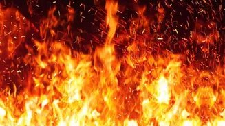 Cylinder Blast at Delhi Food Stall Injures 4 People — How the Fire Was Triggered