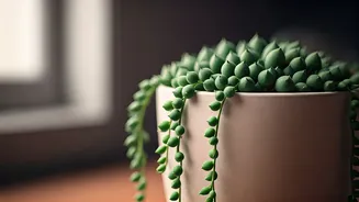 This Plant Is The Fun Decor Upgrade