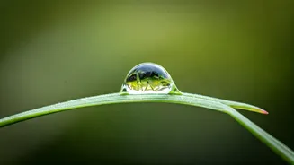 Nurturing Innocence: How Love Blossoms Naturally and Hate is Learned