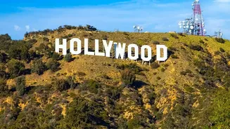 Inside Hollywood Highest-Grossing Cinematic Legacy: How Massive Releases Captured International Viewers