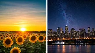 Early Birds vs. Night Owls: The Science of Sleep & Performance