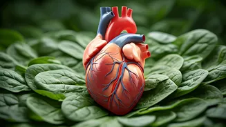 Stay Active: How Exercise Boosts Your Health & Wellbeing