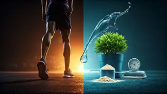 Beyond the Sweat: Debunking Exercise Recovery Myths for Peak Performance