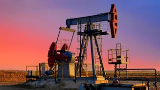 US to loan 53.3 million barrels of oil from Strategic Petroleum Reserve