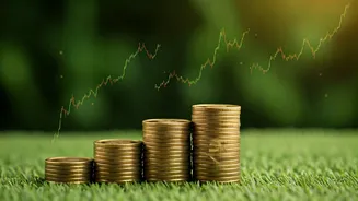 Indian Stock Market: Fund Choices & Investment Insights