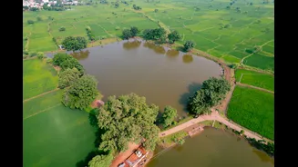 Administration to Survey Crop Damage in Chhattisgarh by 25th September