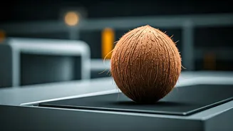 Why Can't You Fly With Coconut? Navigating Prohibited Items for Safer Air Travel