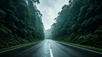 Rainy Konkan Roads Are The New Travel Flex
