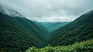 Why Young Professionals Prefer Misty Offbeat Western Ghats Stays