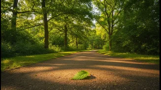 A 10-Minute Stroll Can Turn Meal Time Into A Movement Cue