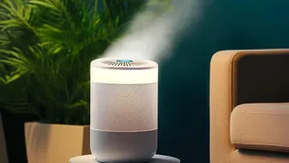 Damp Home During Monsoon? Seven Practical Things To Try