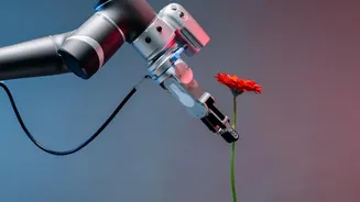 AI Is Becoming A Powerful Tool For Modern Climate Science