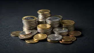 Indian Funds: Which Ones Are Top Performers?