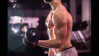 7 alimentos que ajudam a preservar a massa muscular após os 40 anos