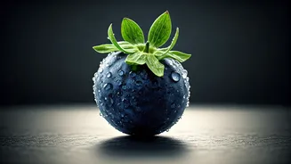 Dimethoate and Berries: Understanding Australia's Pesticide Pause for Health