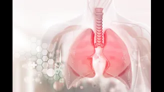 Can A Simple At-Home Test Tell How Healthy Your Lungs Are? Doctor Explains