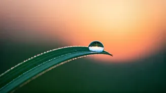 Find Inner Peace: 10 Minutes Daily for Anxiety and Overthinking Relief