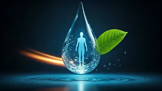 Hydration Unveiled: Debunking the 8-Glass Myth and Finding Your Perfect Water Intake