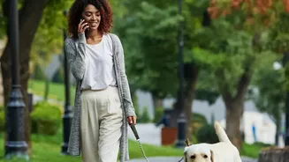 Post-Meal Recovery Walks Lower Blood Sugar Spikes And Soothe Muscle Soreness Fast